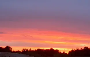 20210713_213159.webp