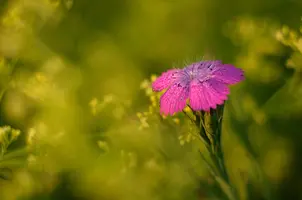 _DSC9994.webp