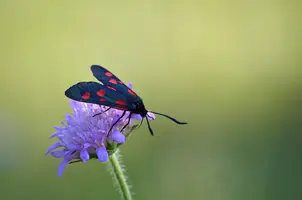 _DSC0318.webp