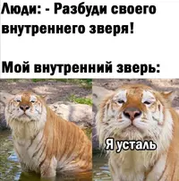 Screenshot_20210713_223935.webp