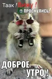 Без названия.webp