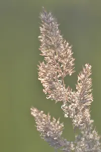 _DSC0406_1.webp