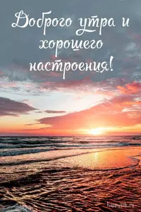 IMG-244857c5fbfd18158eb9f6ec7fdb4a86-V.webp