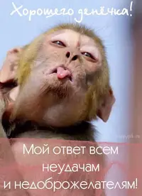 dc3a8b4d1cc5705dc6cb13c54bee4846.webp
