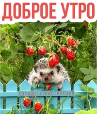 IMG-20210716-WA0006.webp