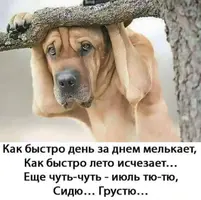 IMG_20210716_093631_232.webp