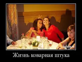 1494041381_007.webp