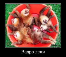 1494041326_017.webp