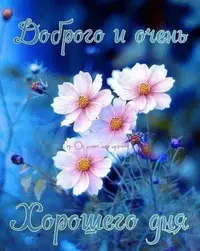 IMG-20210713-WA0005.webp