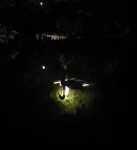 20210711_224415.webp