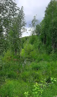 20210717_164404.webp