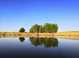 Screenshot_20210717_194437.webp