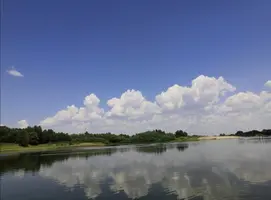 Screenshot_20210717_201016.webp