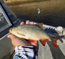 Screenshot_20210717_210814.webp