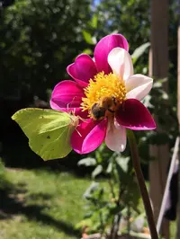 IMG_20210707_132128.webp