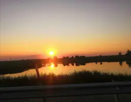 Screenshot_20210718_044627.webp