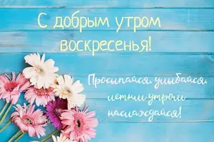 5685f6f6c81a0e7a99b0b22dda1bb7f5.webp