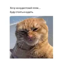 IMG_20210718_074231_215.webp