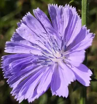 IMG_20210718_093559.webp