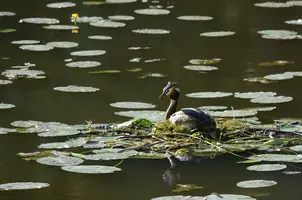 _DSC0192_1.webp