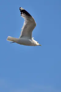 _DSC0189.webp