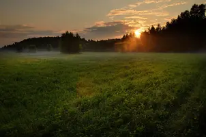 _DSC0294.webp