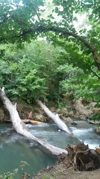 musNY8m45a4.webp