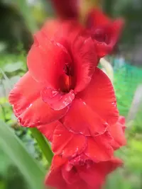 IMG_20210718_135956.webp