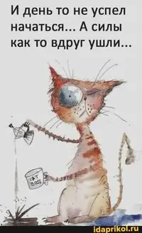 d6f754d284b0054ae96dbadcc052e628.webp
