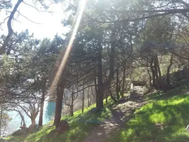 EbZlODSpjC8.webp