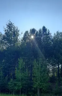 20210719_164159.webp