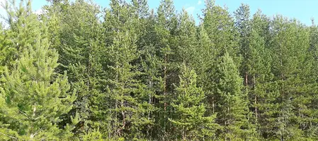 20210719_164329.webp