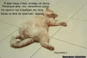 s.webp