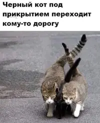 7NYUQOCfvK8.webp