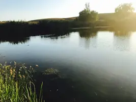 WXoGcOW2gQE.webp