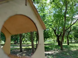20210610_125636.webp