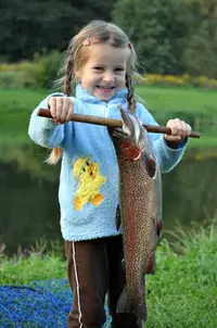 1576671376_17-48.webp