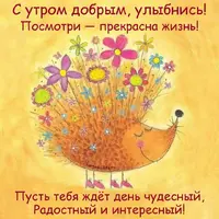 tfu9sOoCfXE.webp
