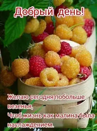 IMG-20210721-WA0004.webp