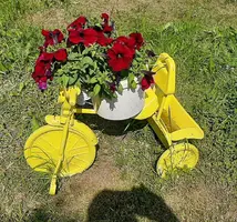 20210721_115936.webp