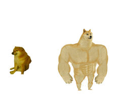 AD9CE56D-B7B2-4756-A4DF-9A3C0B8F3A61.webp