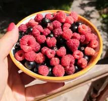 IMG_20210721_161457.webp