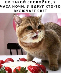 IMG_20210721_163055.webp