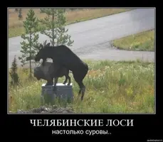 be37c0a06441c9519e82bf9e95124b1d.webp