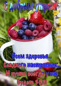 42650b4402f383c32fc3ffba095a63b6.webp