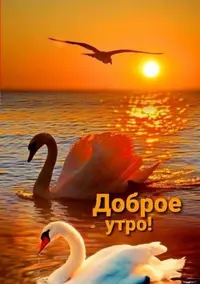 IMG-20210722-WA0006.webp