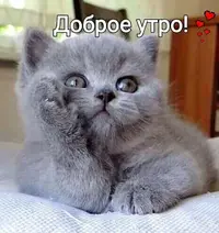 9d649a8908b9193bcd3ba2033dbf3f0e.webp