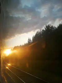 IMG_20210723_073322.webp