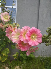 IMG_20210724_122845.webp