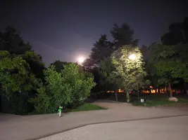 20210724_225539.webp